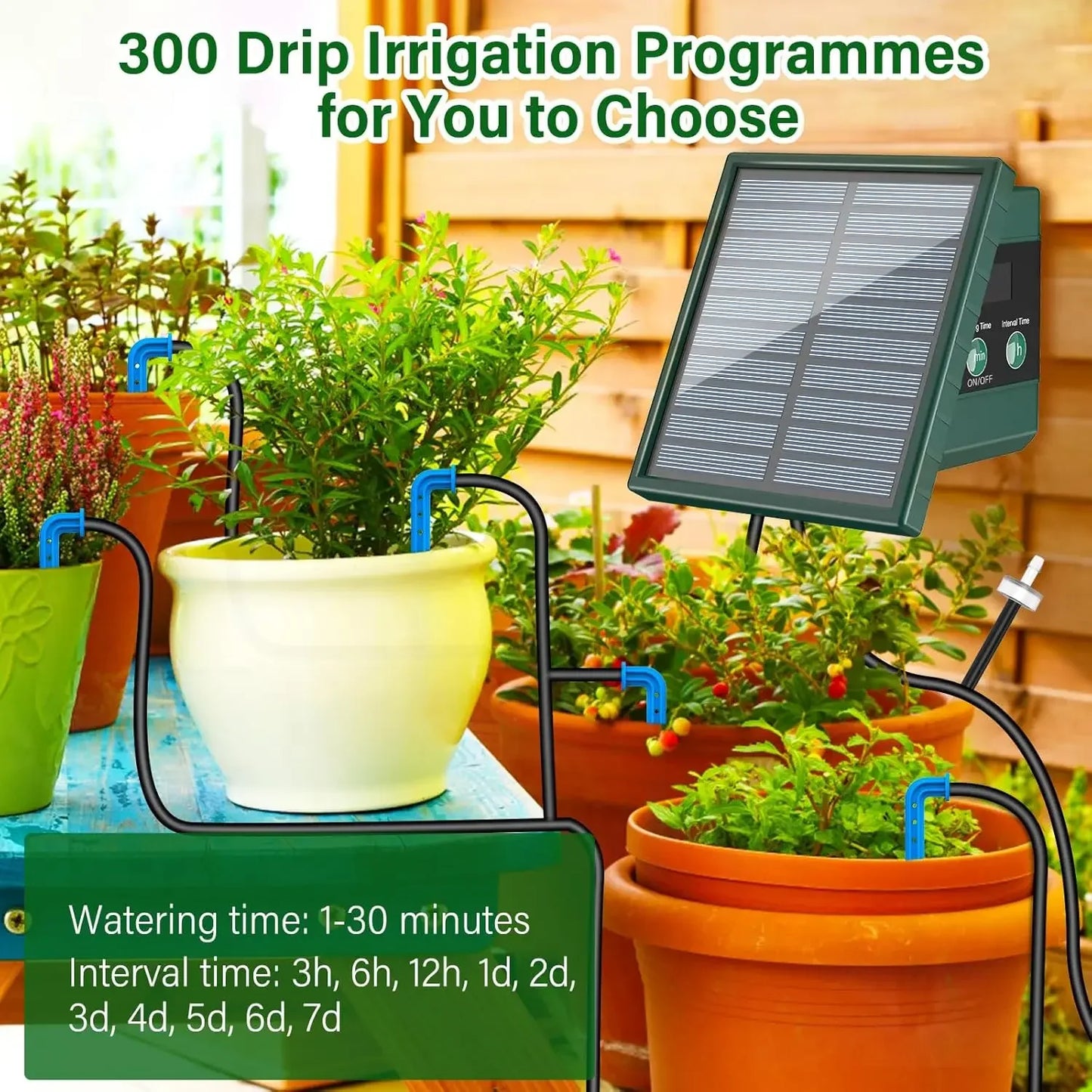 Garden Solar Irrigation System  